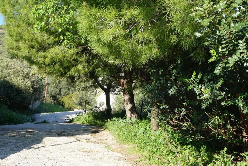Cosy Guest House With Private Yard Saronida エクステリア 写真